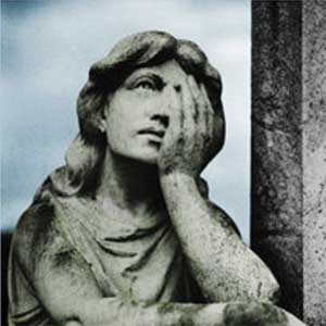 Understanding Ignorance by Daniel R. DeNicola